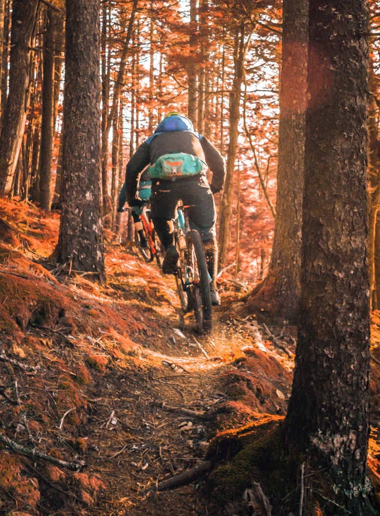 Mountain Bike - Gaias Glamp Ground